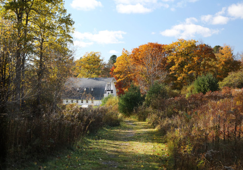 25 Writing Residencies in the US: Find the Perfect Fit for Your Creative Work